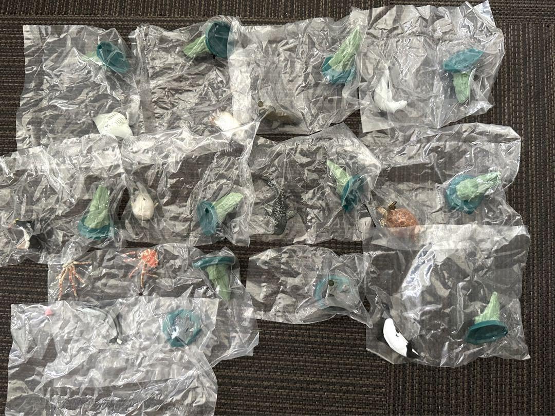 日本の水族館　海洋堂　全12種類コンプリート Amazon.co.jp: 海洋堂 日本の水族館 全12種コンプリート